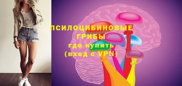 дживик Белокуриха