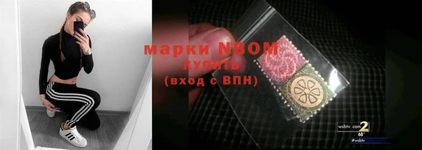 прущие грибы Беломорск