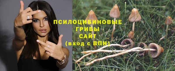 стаф Балабаново
