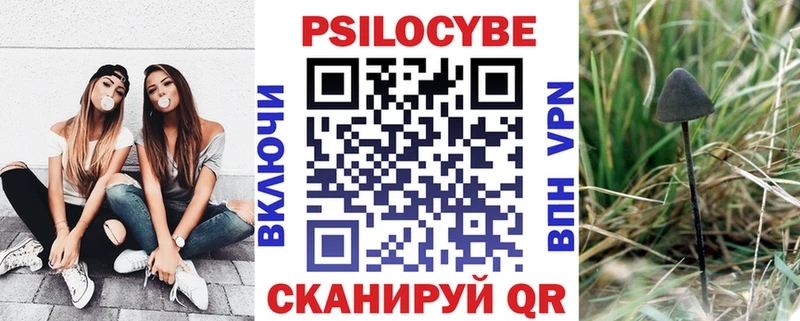 Псилоцибиновые грибы прущие грибы  Рудня 